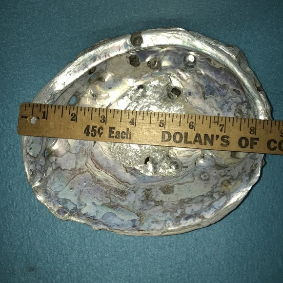 ABALONE shell Pacific Ocean 8 1/2 X 7 - Picture 5 of 7